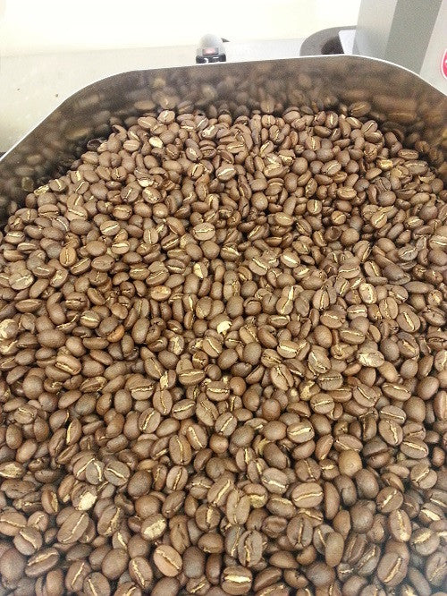 Zimbabwe AA - New Bean