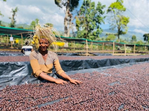 New Product Launch: Ethiopian Yirgacheffe Coffee