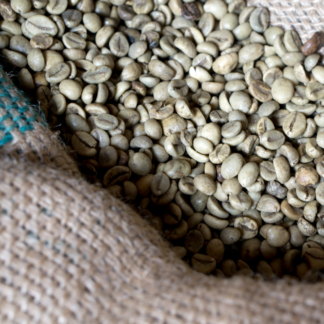 Single origin green coffee beans