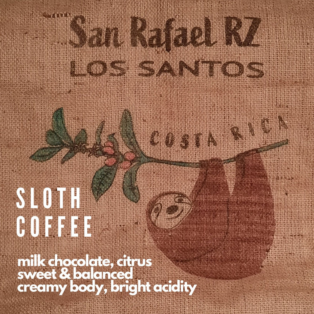 Costa Rica Tarrazú - The 'SLOTH' Coffee - Well Roasted Coffee