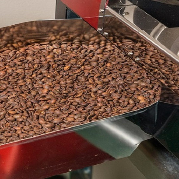 Freshly roasted coffee in a coffee roaster