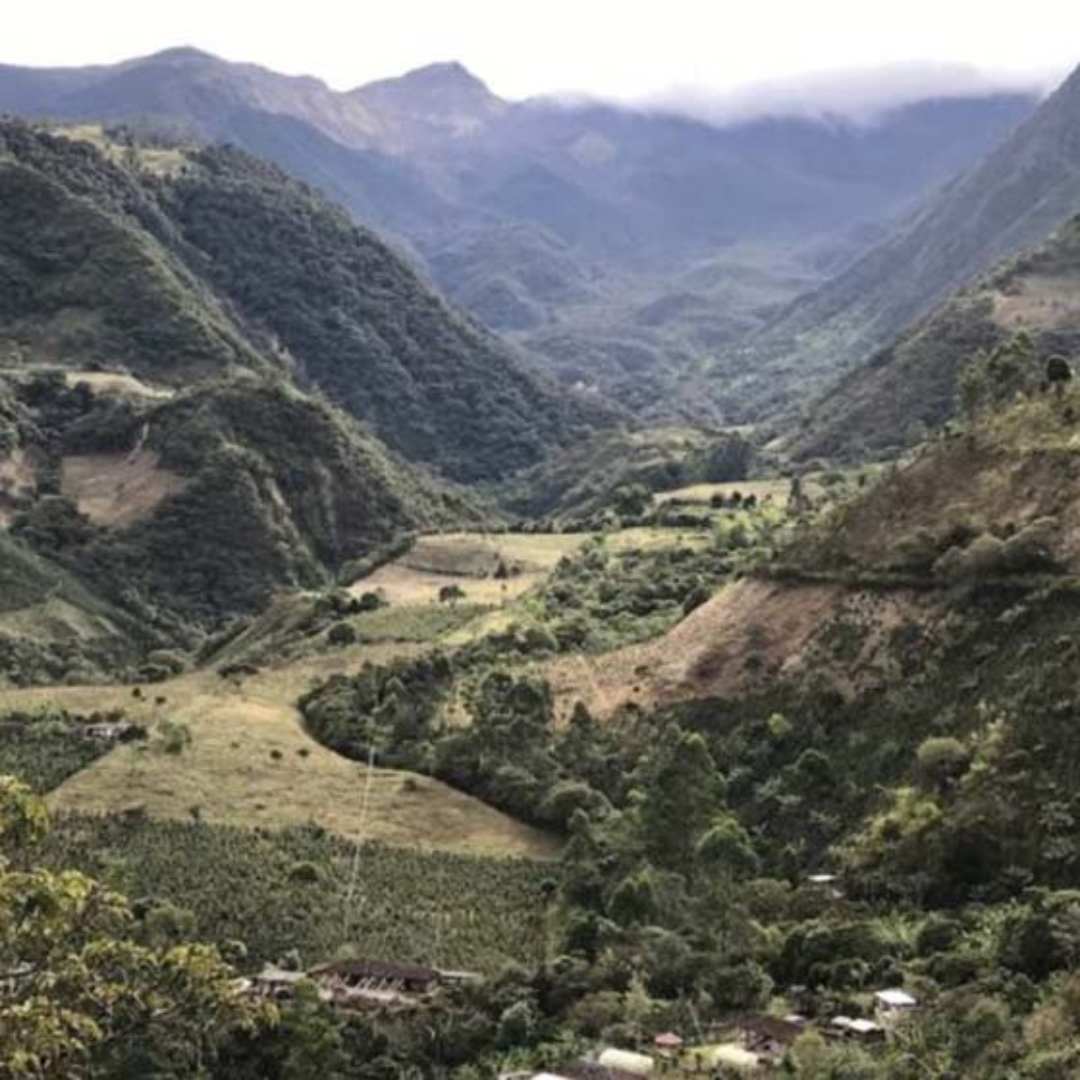 Colombia Coffee landscape