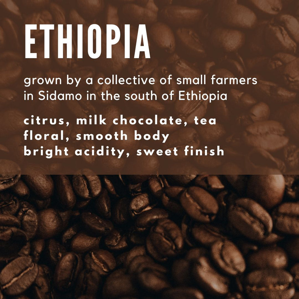 Ethiopia Sidamo Coffee - Well Roasted Coffee