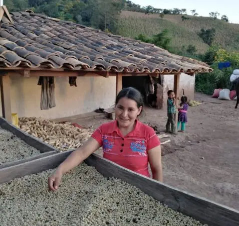 GEA coffee drying process