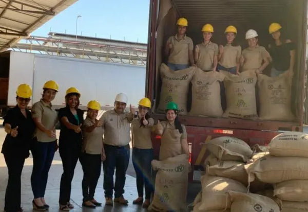 GEA CAUFUL Co-op coffee farmers