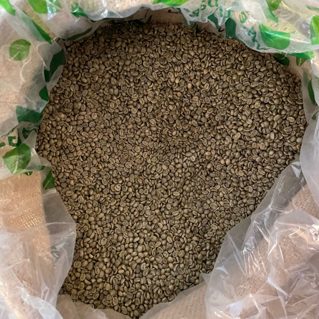 Costa Rican Tarrazú Green Coffee Beans - Well Roasted Coffee