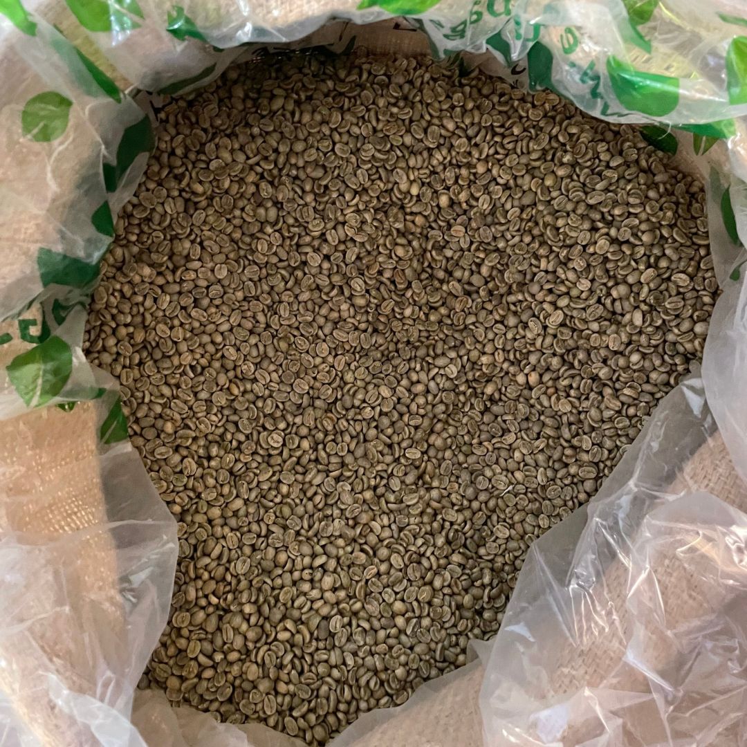 Costa Rican Tarrazú Green Coffee Beans - Well Roasted Coffee