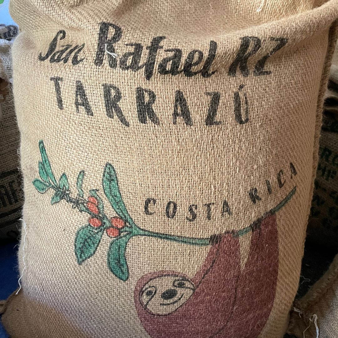 Costa Rica Green Coffee Beans - Well Roasted Coffee