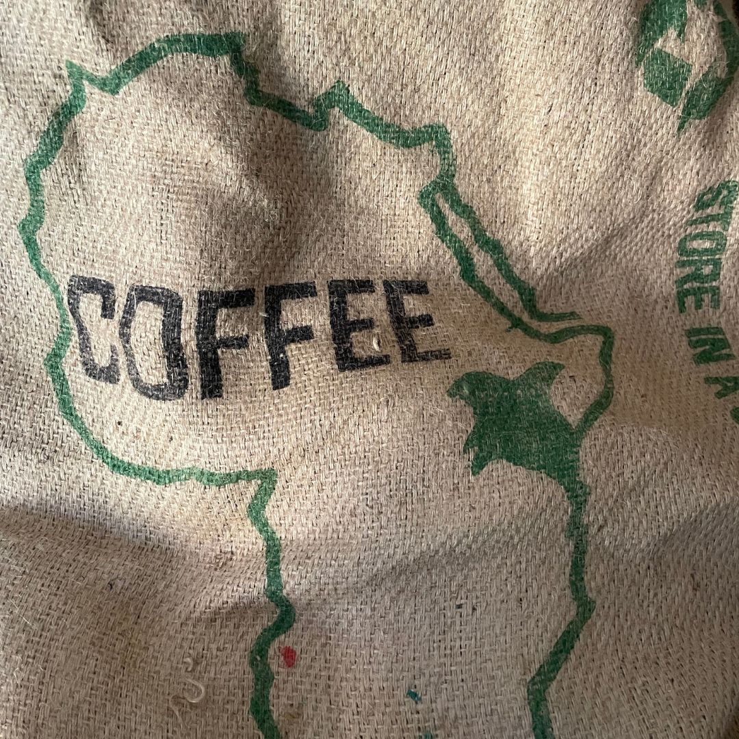 Kenya AA Green Coffee Beans - Well Roasted Coffee