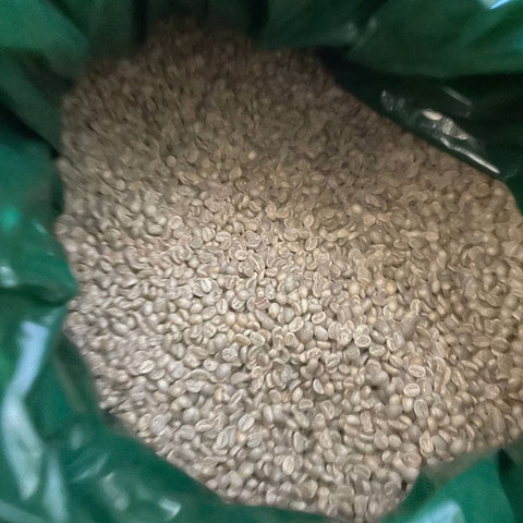 Mexican Women Power Zongolica Green Coffee Beans - Well Roasted Coffee