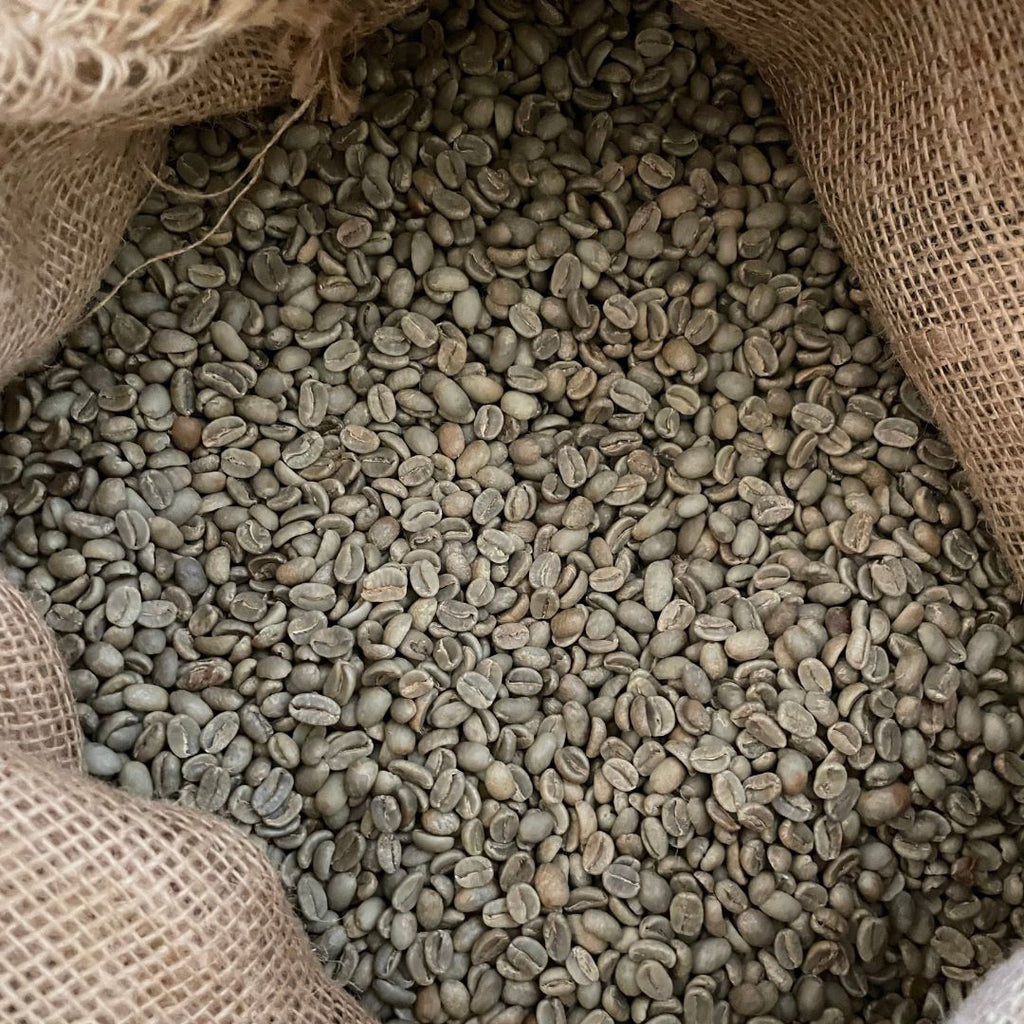 Organic Papua New Guinea Green Coffee Beans - Well Roasted Coffee