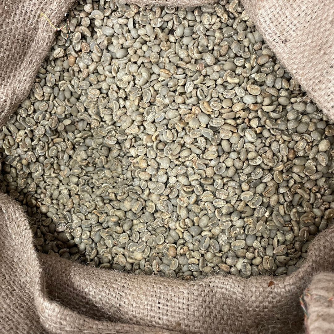 Organic Sumatran Green Coffee Beans - Well Roasted Coffee