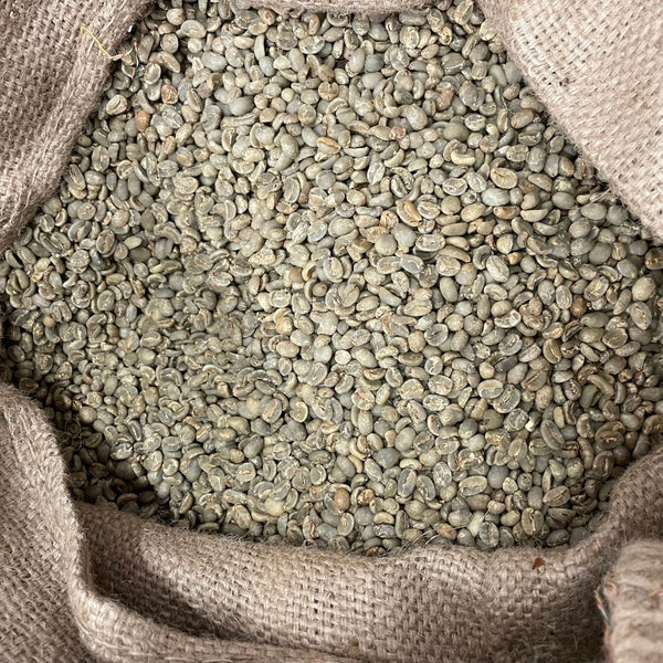 Organic Sumatran Green Coffee Beans - Well Roasted Coffee