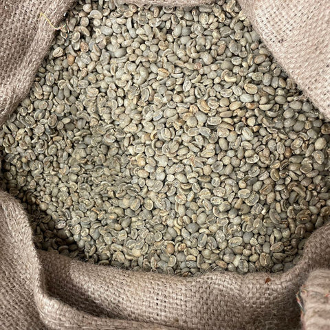 Organic Sumatran Green Coffee Beans - Well Roasted Coffee