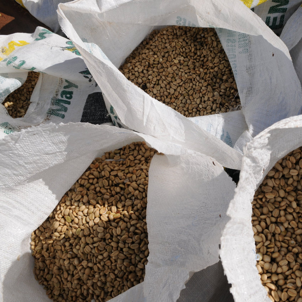 Guatemala Santa Rosa Coffee - Well Roasted Coffee