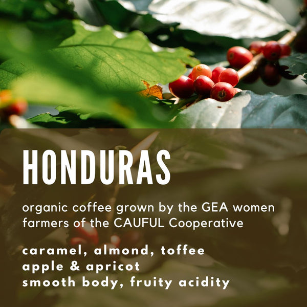 Organic Honduras GEA CAUFUL Coffee