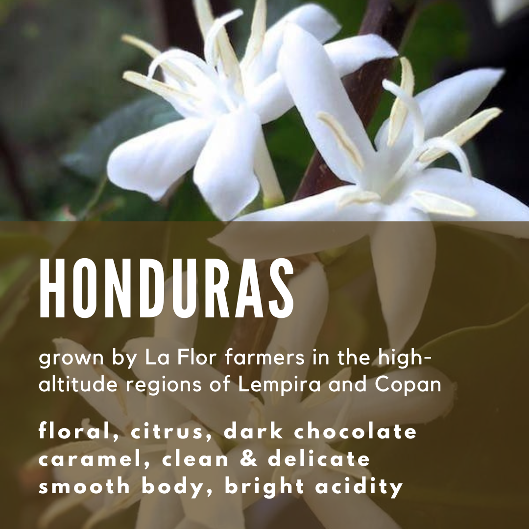 Honduras La Flor speciality coffee - Well Roasted Coffee
