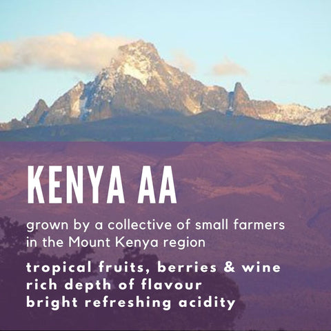 Kenya AA - Mount Kenya Coffee - Well Roasted Coffee