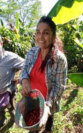 Mexico SHG Zongolica - WPZ Coffee - Well Roasted Coffee