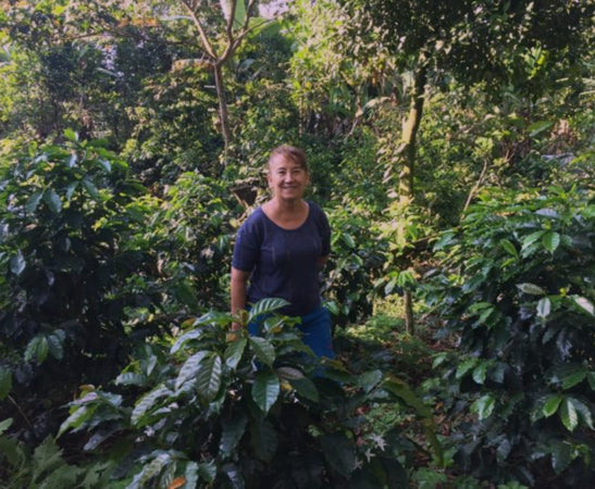 Mexico SHG Zongolica - WPZ Coffee - Well Roasted Coffee