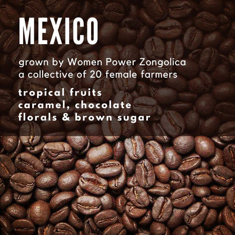 Mexico SHG Zongolica - WPZ Coffee - Well Roasted Coffee