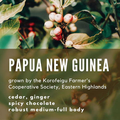 Papua New Guinea - Organic Coffee - Well Roasted Coffee