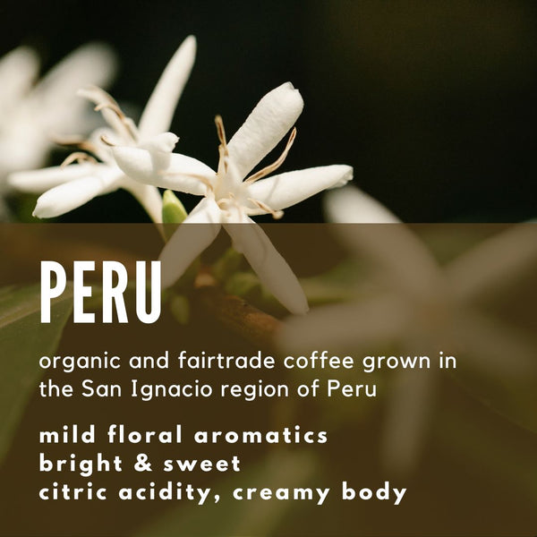 Peru San Ignacio Fairtrade Organic Coffee - Well Roasted Coffee