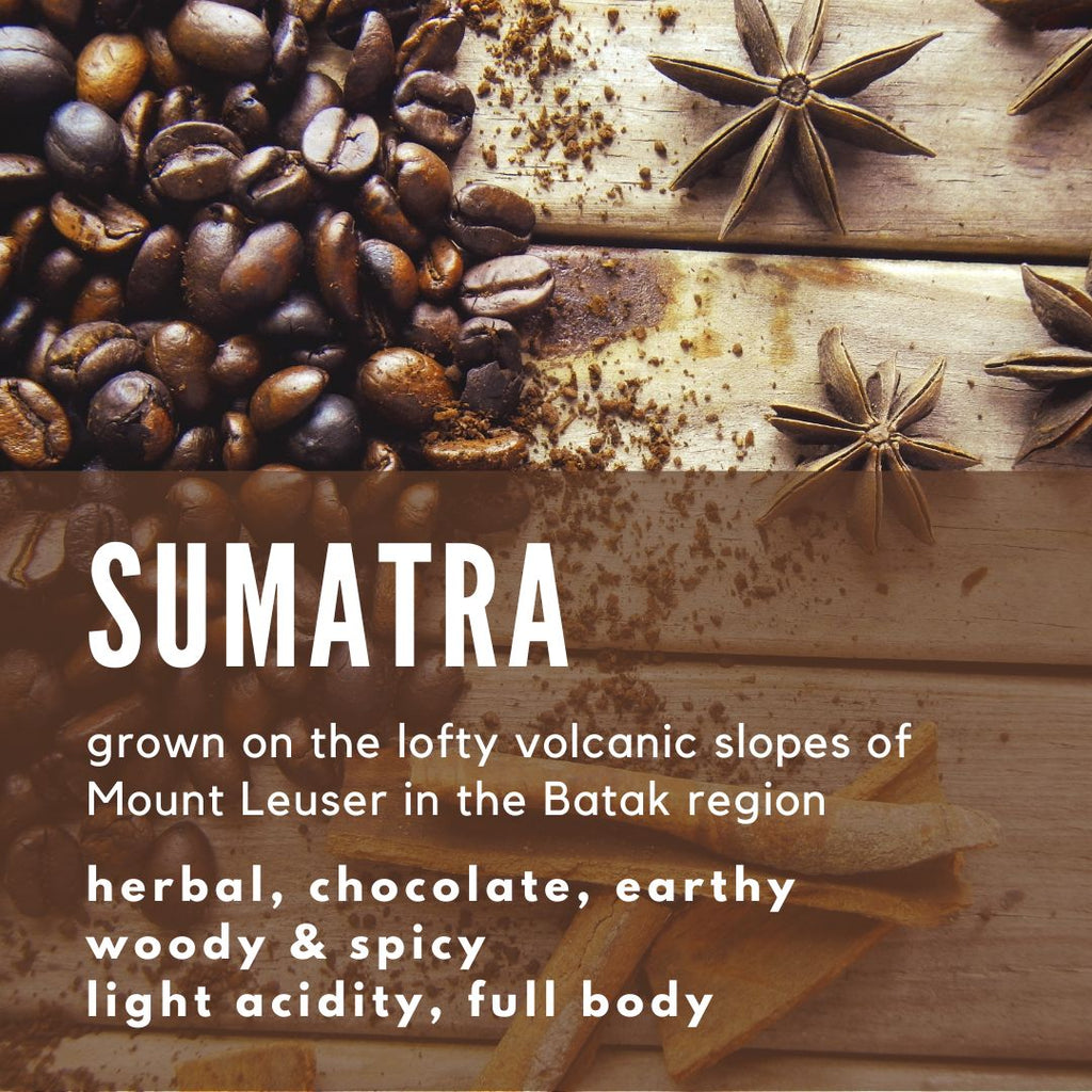 Sumatra Mandheling Organic Coffee - Well Roasted Coffee
