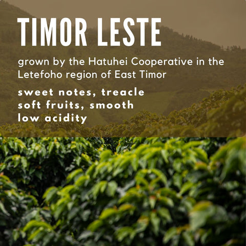 Timor Leste - Hatuhei Cooperative Coffee - Well Roasted Coffee