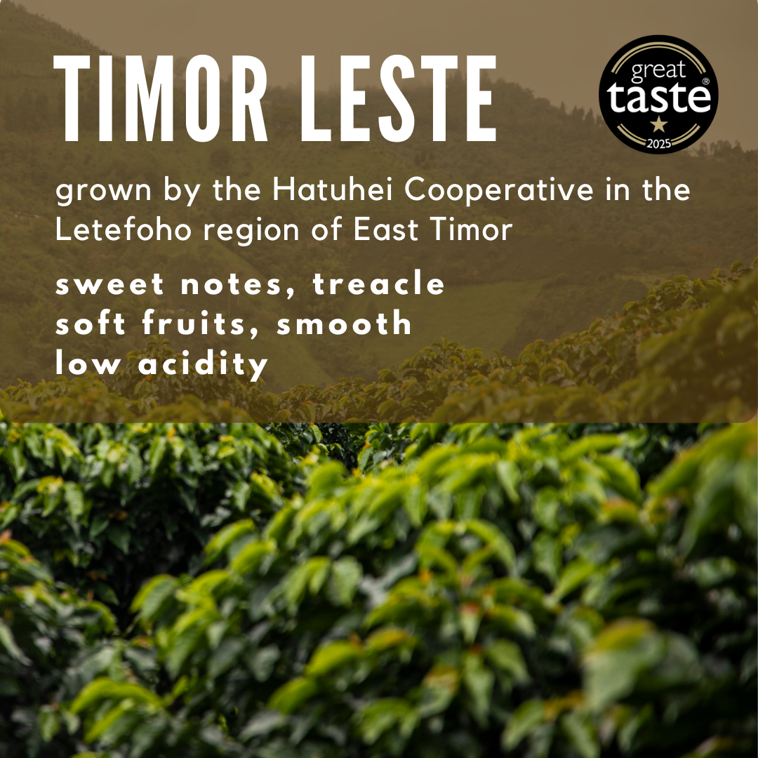 Timor Leste Hatuhei Cooperative Coffee - Well Roasted Coffee