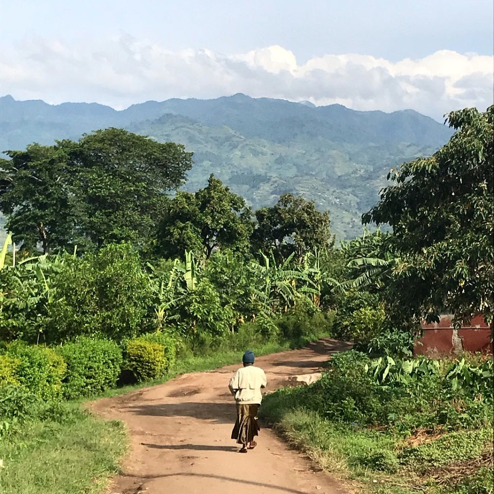 Ugandan Bukonzo Dream - Well Roasted Coffee